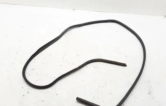 Opel Vivaro Front door rubber seal 7700313536