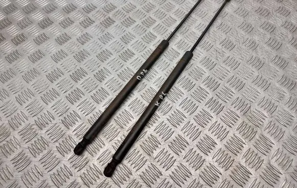 Ford S-MAX Tailgate strut 