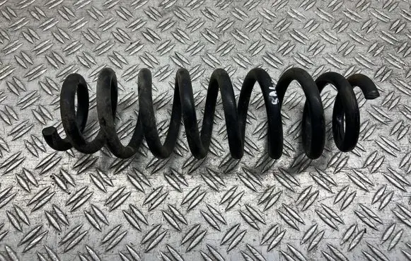 Rear coil spring