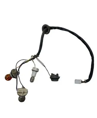 Chevrolet Captiva Rear tail light wiring loom 