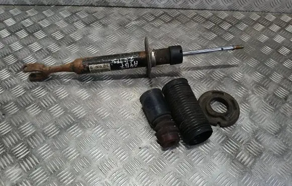 Audi A4 S4 B7 8E 8H Front shock absorber/damper