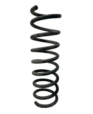 Ford C-MAX II Rear coil spring