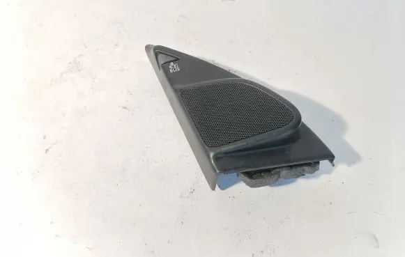 Front door high frequency speaker