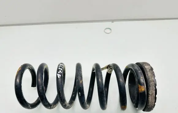 Rear coil spring