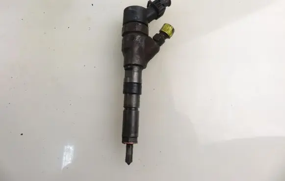 Fiat Ducato Fuel injector 0445110076