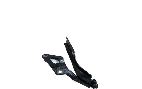 Volkswagen Tiguan Engine bonnet/hood hinges 5NA823302J