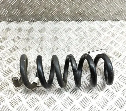 Ford Mustang Mach-E Rear coil spring LJ9C5560ANF