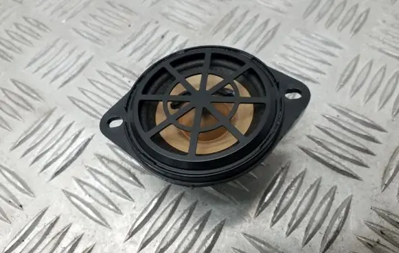 Panel speaker