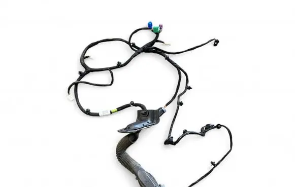 Front door wiring loom