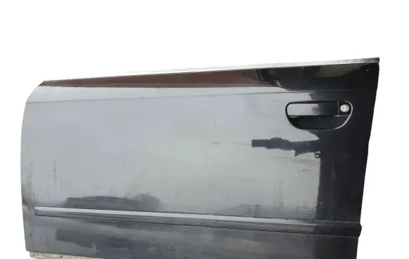 Audi A4 S4 B7 8E 8H Front door