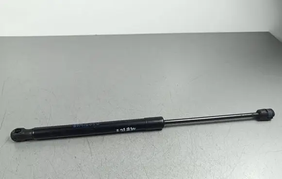 Tailgate/trunk strut/damper
