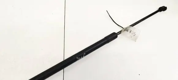 Tailgate/trunk strut/damper