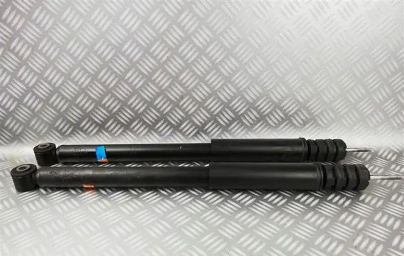Dacia Sandero Rear shock absorber/damper 562105691R