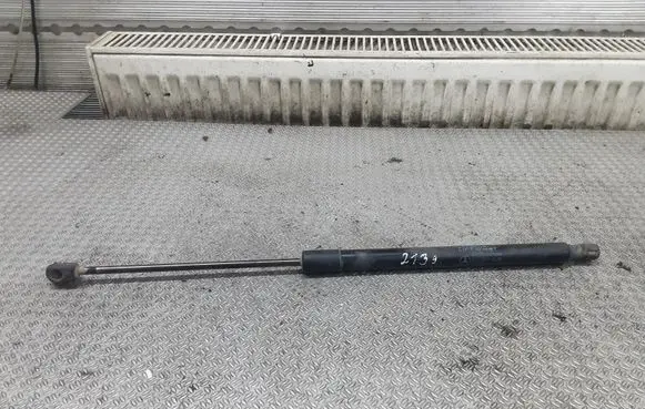 Mercedes-Benz B W245 Tailgate/trunk strut/damper 3079XN0450N