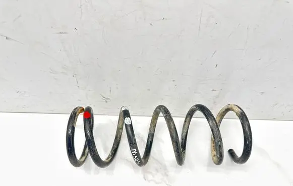Nissan Murano Z50 Rear coil spring 