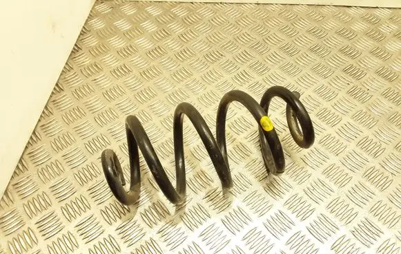 Nissan X-Trail T31 Rear coil spring