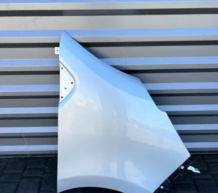 Renault Trafic III (X82) Fender
