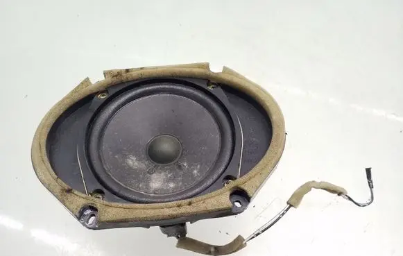 Rear door speaker