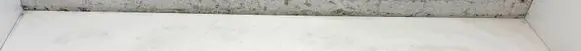 Toyota Sienna XL40 IV Roof trim bar molding cover