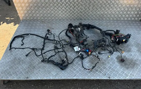 Audi Q2 - Other wiring loom TAB010576D 81A974086 81A974019
