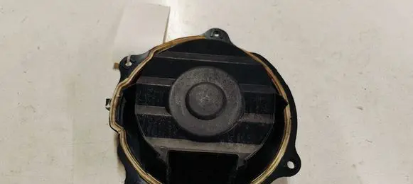 Citroen C6 Front door speaker
