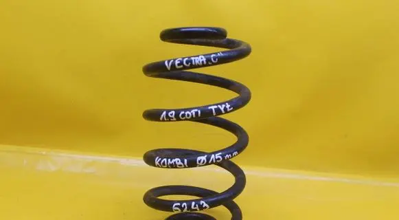 Opel Vectra C Rear coil spring 6243