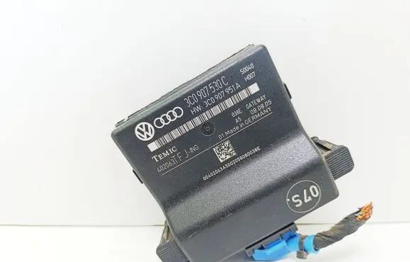 Volkswagen PASSAT B6 Gateway control module 3C0907530C