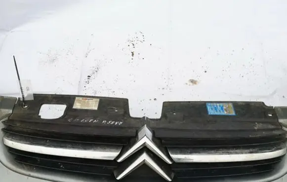 Citroen C5 Front bumper lower grill