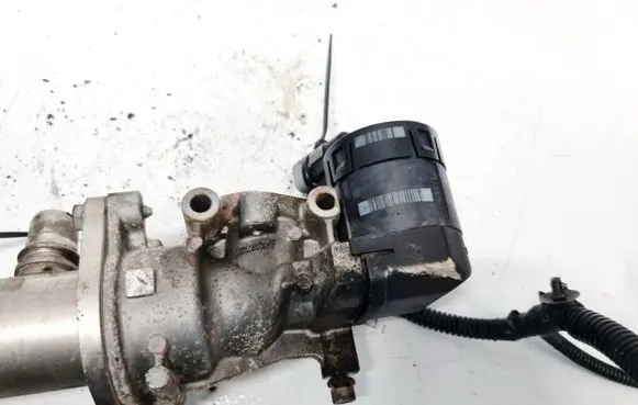 EGR valve