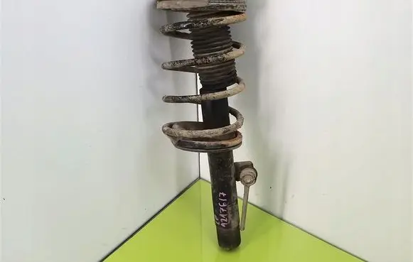 Peugeot 206+ Front shock absorber with coil spring 