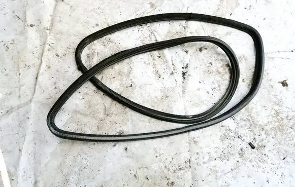 Volkswagen PASSAT B4 Rubber seal front coupe door