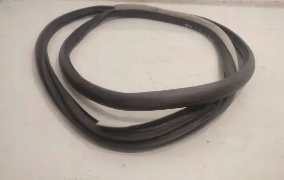 Renault Laguna III Rubber seal rear door 