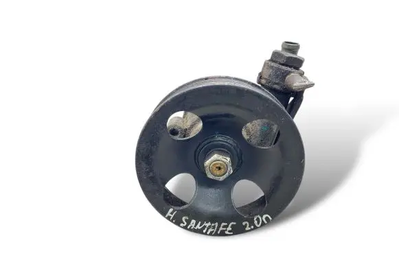 Hyundai Santa Fe Power steering pump 5710026300