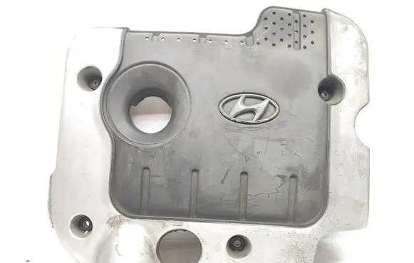 Hyundai Santa Fe Engine cover (trim)