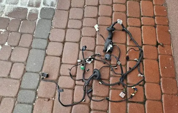 Opel Insignia B Front door wiring loom 39133535