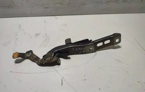 Engine bonnet/hood hinges