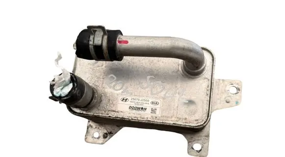 KIA Soul Electric car engine cooler 25670J2500