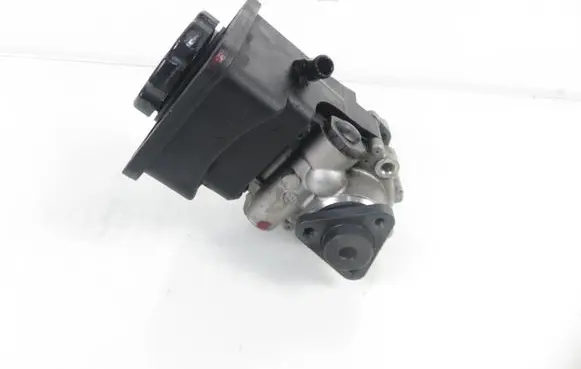 BMW 3 E46 Power steering pump 7691900513 1095155