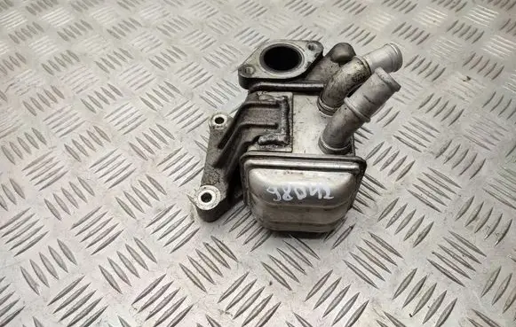 EGR valve cooler