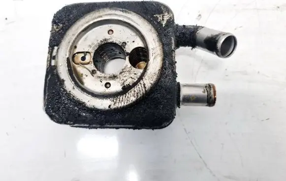 Hyundai Santa Fe Engine oil radiator 