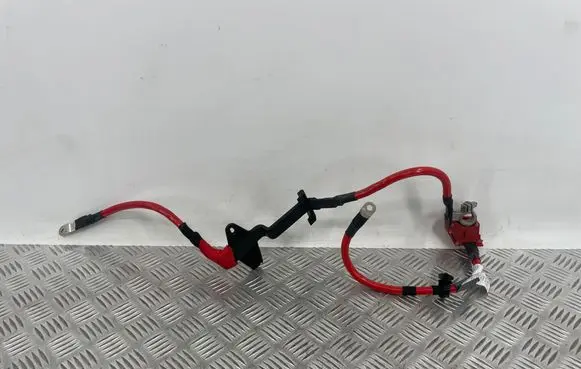 BMW 3 G20 G21 Positive cable (battery) 8796959 E6L258