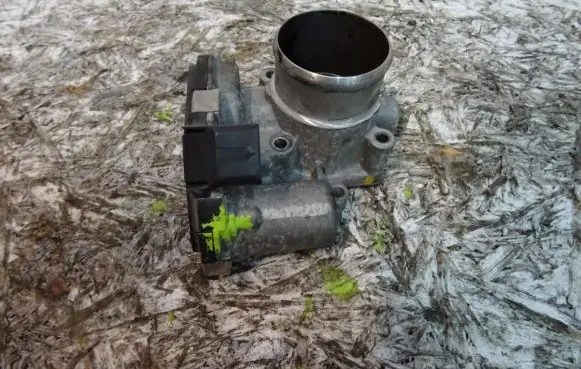 Throttle body valve