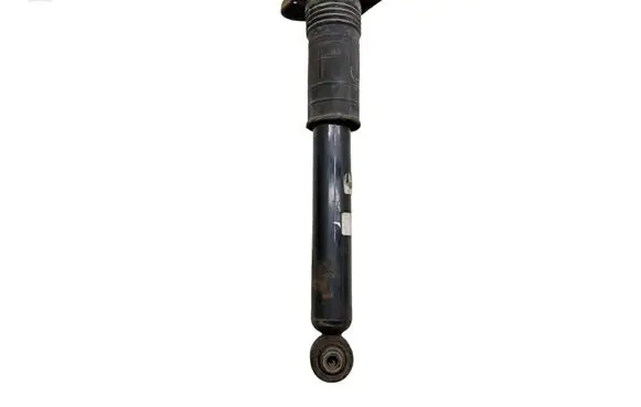 Nissan Murano Z52 Rear shock absorber/damper