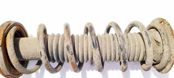 Rear coil spring