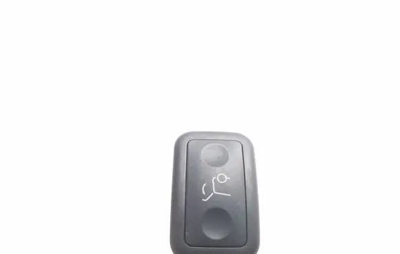 Tailgate opening switch