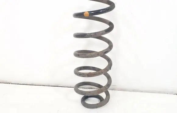Rear coil spring