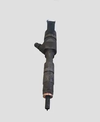 Renault Scenic II - Grand scenic II Fuel injector 0445110280