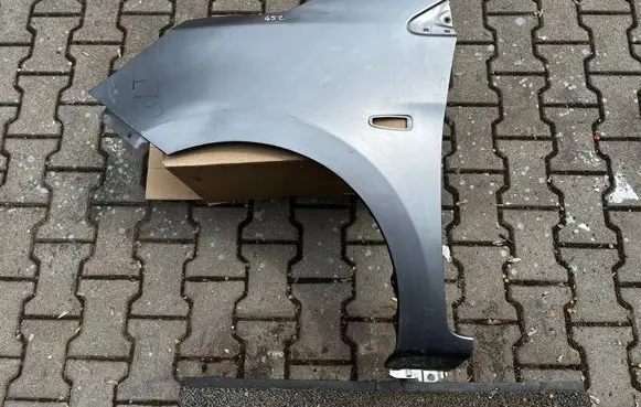 Renault Clio IV Fender 