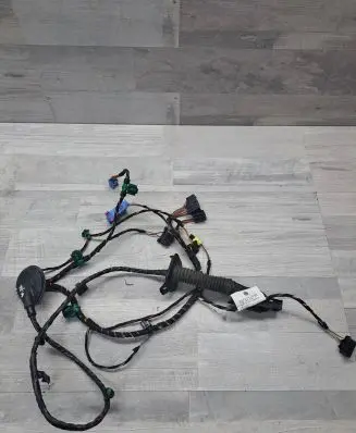 Front door wiring loom
