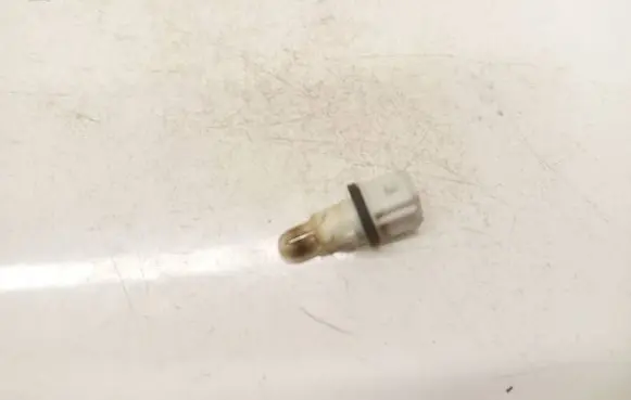 Toyota RAV 4 (XA30) Rear tail light bulb